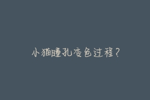 小猫瞳孔变色过程?