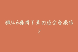猫从6楼摔下来内脏会受损吗?