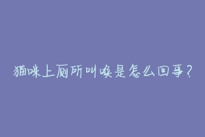 猫咪上厕所叫唤是怎么回事？