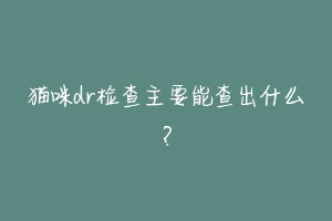 猫咪dr检查主要能查出什么?
