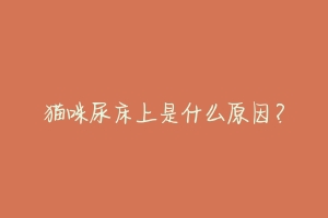 猫咪尿床上是什么原因？