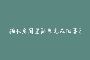 猫在房间里乱窜怎么回事?