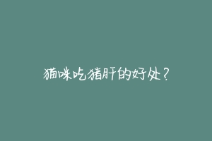 猫咪吃猪肝的好处?
