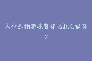 为什么拍猫咪臀部它就会很爽?