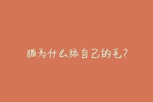 猫为什么舔自己的毛?