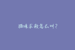 猫咪求救怎么叫?