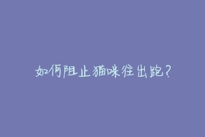 如何阻止猫咪往出跑?