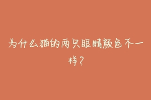 为什么猫的两只眼睛颜色不一样?