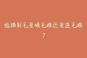 给猫剃毛是顺毛推还是逆毛推？