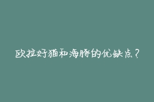 欧拉好猫和海豚的优缺点?