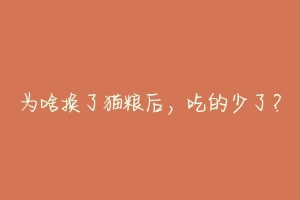 为啥换了猫粮后,吃的少了?