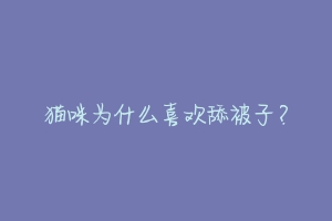 猫咪为什么喜欢舔被子?