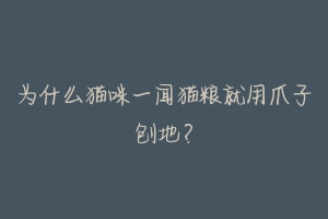 为什么猫咪一闻猫粮就用爪子刨地?