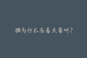猫为什么在春天要叫?