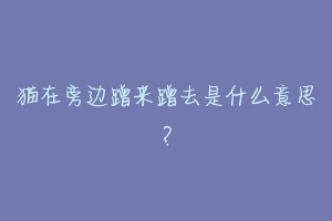 猫在旁边蹭来蹭去是什么意思?