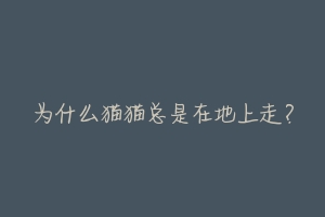 为什么猫猫总是在地上走?