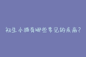 初生小猫有哪些常见的疾病?