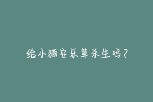 给小猫安乐算杀生吗?