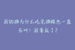 我的猫为什么吃完猫粮也一直在叫!我要疯了?