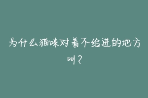 为什么猫咪对着不给进的地方叫?