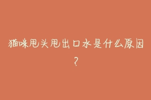 猫咪甩头甩出口水是什么原因？