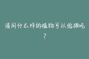 请问什么样的植物可以给猫吃?