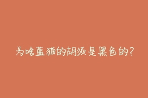 为啥蓝猫的胡须是黑色的?
