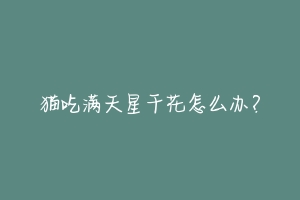 猫吃满天星干花怎么办?