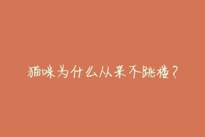 猫咪为什么从来不跳楼?