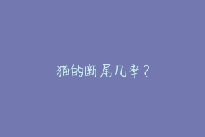 猫的断尾几率？