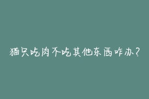 猫只吃肉不吃其他东西咋办?