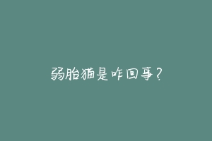 弱胎猫是咋回事?