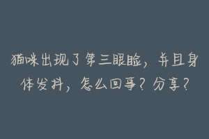 猫咪出现了第三眼睑,并且身体发抖,怎么回事?分享?