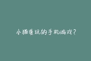 小猫爱玩的手机游戏?