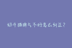 奶牛猫脾气不好怎么纠正?