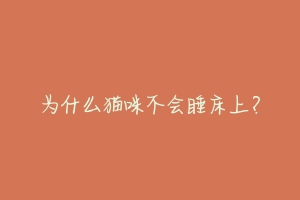 为什么猫咪不会睡床上?