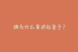 猫为什么要拱起身子?