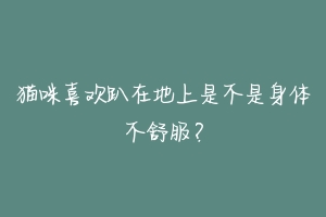 猫咪喜欢趴在地上是不是身体不舒服?