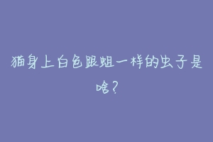 猫身上白色跟蛆一样的虫子是啥?