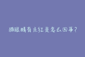 猫眼睛有点红是怎么回事?