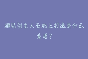 猫见到主人在地上打滚是什么意思?