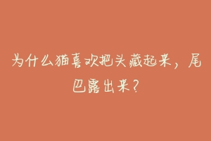 为什么猫喜欢把头藏起来,尾巴露出来?