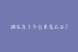 猫在床下不出来怎么办？