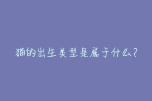 猫的出生类型是属于什么?