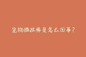 宠物猫拉稀是怎么回事?