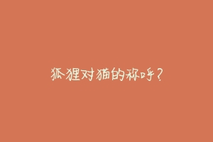 狐狸对猫的称呼?