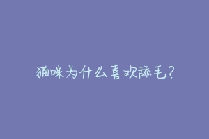 猫咪为什么喜欢舔毛?