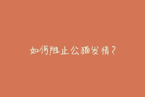 如何阻止公猫发情?