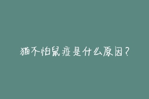 猫不怕鼠疫是什么原因?