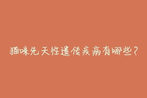 猫咪先天性遗传疾病有哪些?